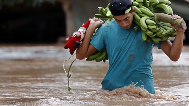 Un joven lleva bananas mientras cruza una calle inundada en El Progreso, Yoro, Honduras en noviembre de 2020, tras el pasaje del huracán Iota.