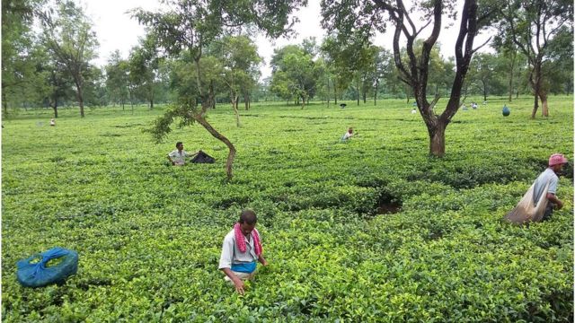 পশ্চিমবঙ্গ রাজ্যের উত্তরাঞ্চলে আলাদা রাজ্যের দাবি আগেও উঠেছে