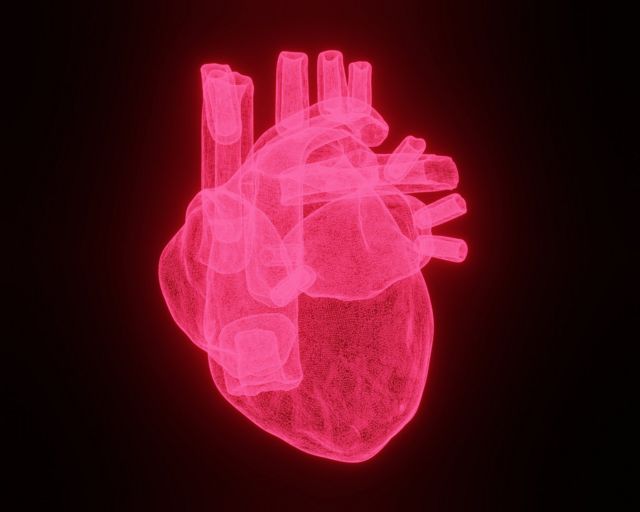 Una ilustración 3d del corazón humano.