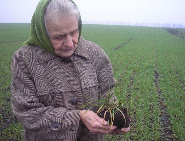 Понад 65% власників земельних паїв - пенсоінери. Близько 1,5 млн власників паїв померли поки діяли мораторії на продаж землі
