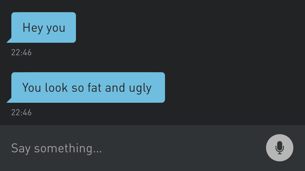 A message on Grindr that says "you look so fat and ugly"