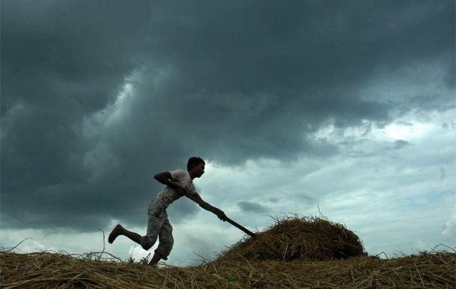 వ్యవసాయ పనుల్లో ఓ వ్యక్తి