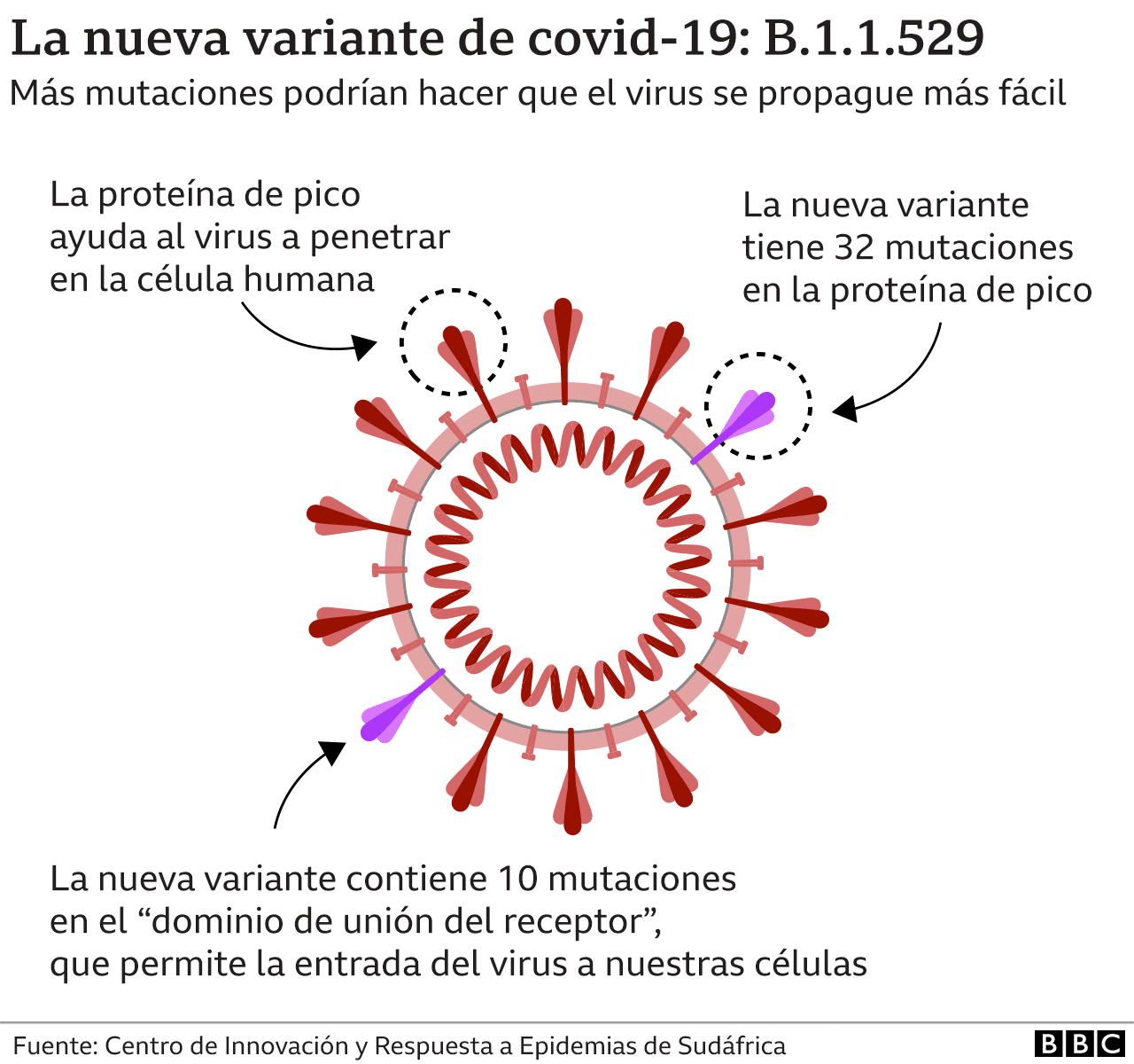 Omicron: las razones por las que preocupa la variante del coronavirus altamente mutada hallada en Sudáfrica - BBC News Mundo