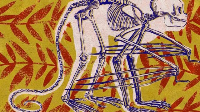 Ilustração de macaco do futuro com esqueleto à mostra