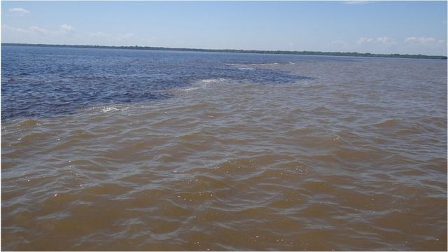 Encontro da águas dos Rios Negros e Solimões, no Parque Ecológico Janauari, Manaus-Am