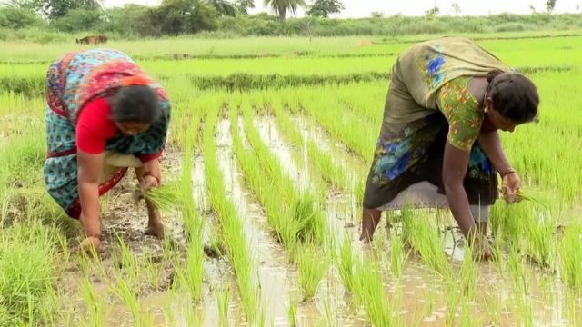 பரந்தூர் விமான நிலையம்