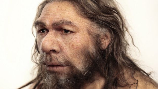 homo neanderthalensis y homo sapiens