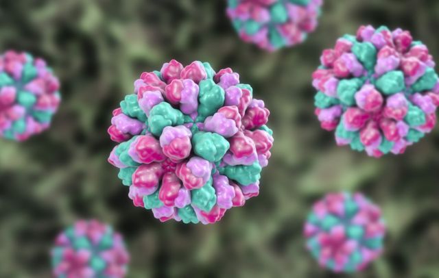 Imagen en 3D creada por computación de norovirus