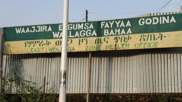 Waajjira Eegumsa Fayyaa Godina Wallaggaa Bahaa