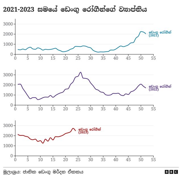 Distribution of dengue patients