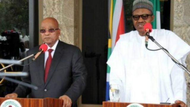 Jacob Zuma (à gauche) et Muhammadu Buhari, les présidents des deux premières économiques africaines