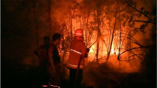 Kebakaran hutan yang terjadi di beberapa provinsi di indonesia membuat konsentrasi co2 banyak di atmosfer. hal tersebut dapat menimbulkan