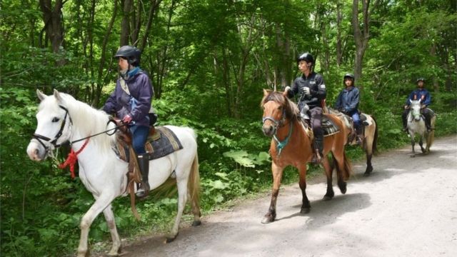 Rescue teams on horseback in Hokkaido, Japan (30 May 2016)