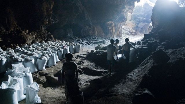 Los aldeanos cosechan guano en una caverna,