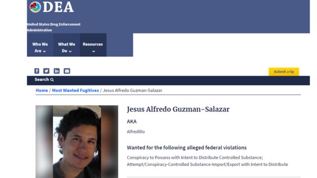 Ficha de la DEA sobre Alfredillo.