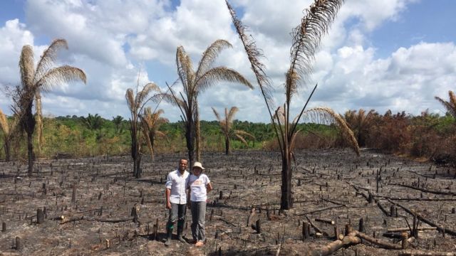 Crescimento de novas florestas em &aacute;reas desmatadas na Amaz&ocirc;nia demora muito  mais do que se imaginava, mostra estudo - BBC News Brasil