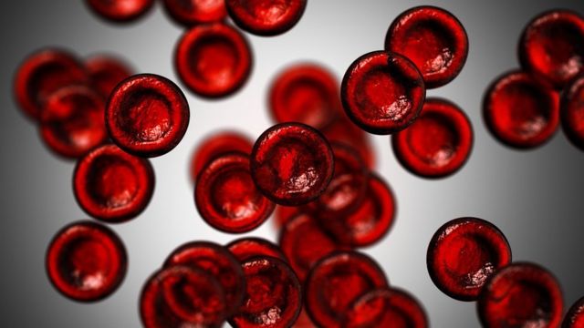 Por qué tenemos distintos tipos de sangre? - BBC News Mundo