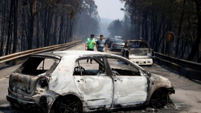 62 Tewas Dalam Kebakaran Hutan, Portugal Berduka Tiga Hari - BBC News ...