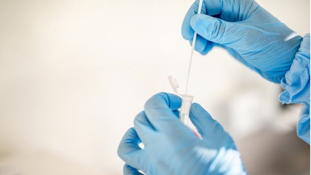 Stock image of gloves hands placing a Covid test swab into a tube