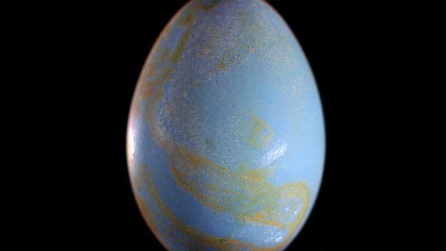 Яйцо: самое совершенное творение природы | Документальный фильм Би-би ...