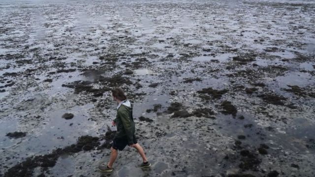 una persona camina por la arena cuando retrocedió el mar por el huracán Ian
