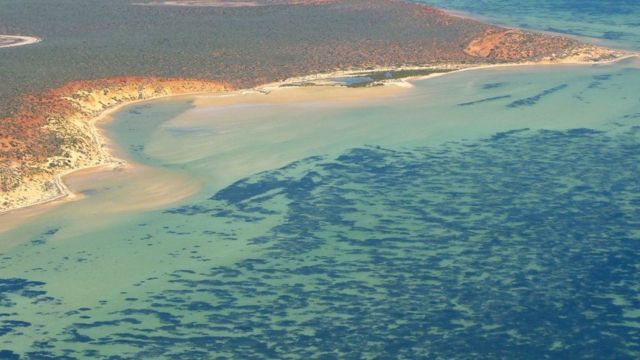 Vista aérea de la bahía Shark en el oeste de Australia.