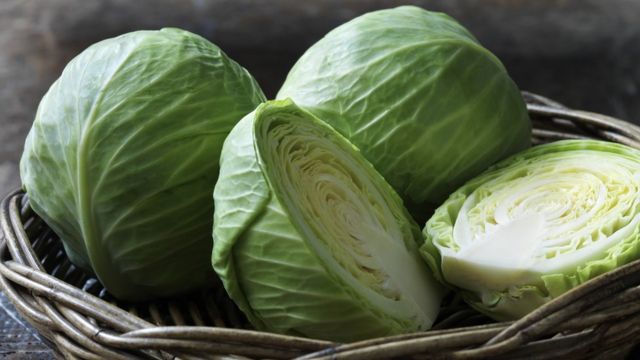 Капуста