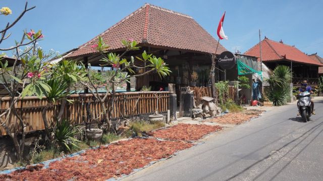 bali