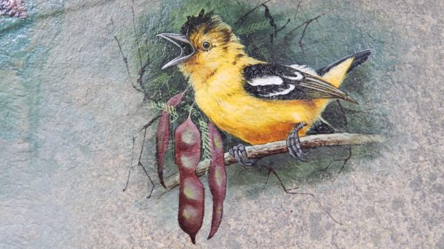 பறவை சிவக்குமார்