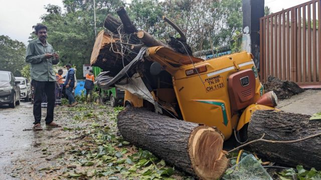 மேன்டோஸ்