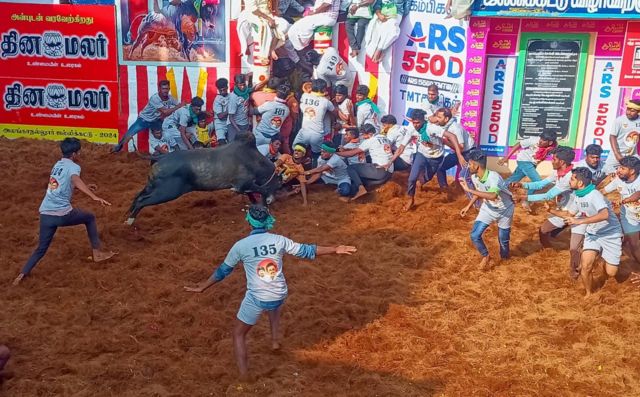 அலங்காநல்லூர் ஜல்லிக்கட்டு