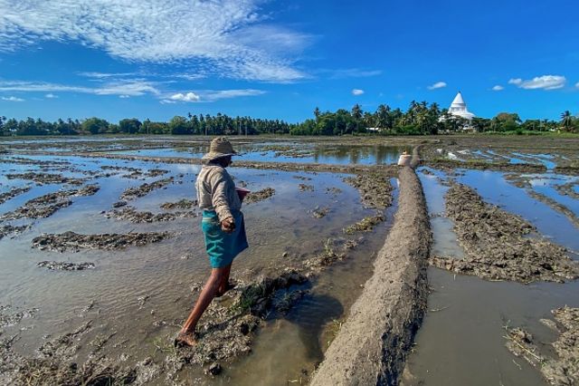 farmer exposed to the sun 