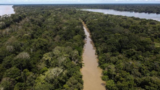 Vista aérea del Amazonas colombiano. 