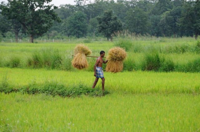 சட்டீஸ்கர் தேர்தல்: வலுவாக இருக்கும் காங்கிரஸை வீழ்த்த பா.ஜ.க. வகுத்துள்ள வியூகம் என்ன?