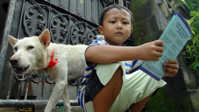 Kasus rabies di NTT: 10 orang meninggal dan kasus terus meningkat ...