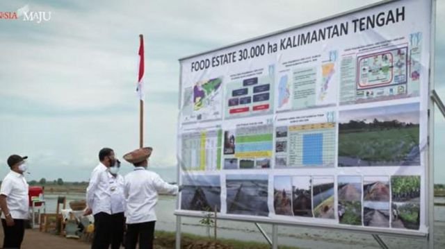 Presiden Joko widodo meninjau lokasi food estate di Kabupaten Pulang Pisau pada 8 Oktober 2020. 