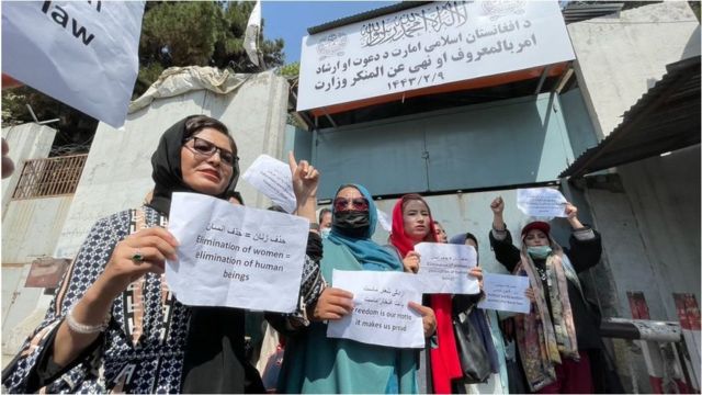 Kadınların, Taliban'ın kadınların çalışmasını kısıtlayan kararlara karşı protestosu