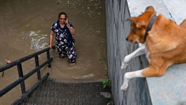 Seorang perempuan berbicara melalui telepon di daerah perumahan yang banjir di dekat tepi Sungai Yamuna yang meluap karena curah hujan tinggi