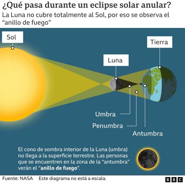 Una infografía de Qué pasa durante un eclipse solar anular