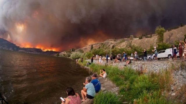 população em margem de lago observando fogo em florestas ao fundo