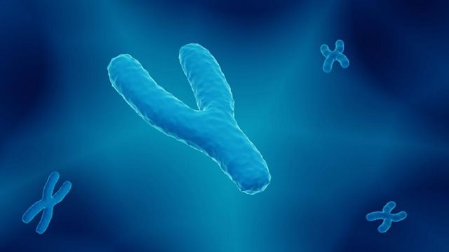 Una imagen artística de un cromosoma Y