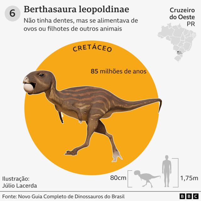 Gráfico com detalhes e curiosidades sobre a Berthasaura leopoldinae