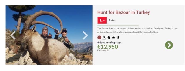 Turquie chasse tourisme bézoard bouquetin