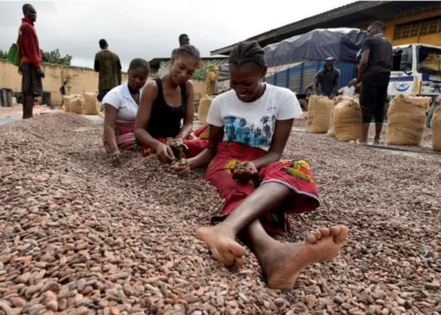 Women processing cocoa in Ghana
