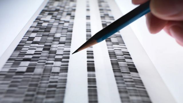 Lápis aponta para uma folha com sequenciamento de DNA
