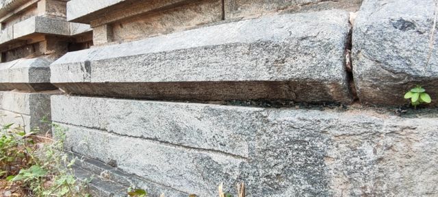 சோழர்கள்