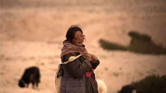 லடாக்கில் காலநிலை மாற்றம்