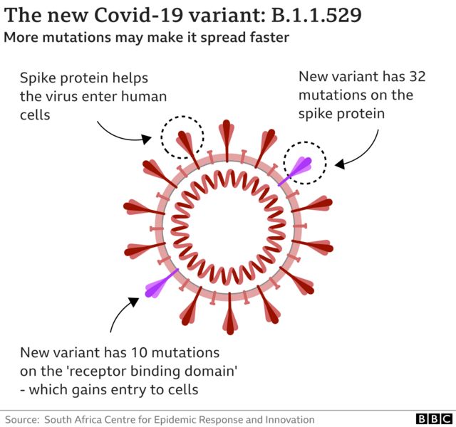 Wetin we know about di new Covid variant XXB.1.5? - BBC News Pidgin