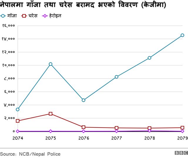  लागुऔषध बरामद विवरण