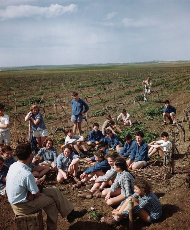 Meninos e professor em aula em um campo de cultivo